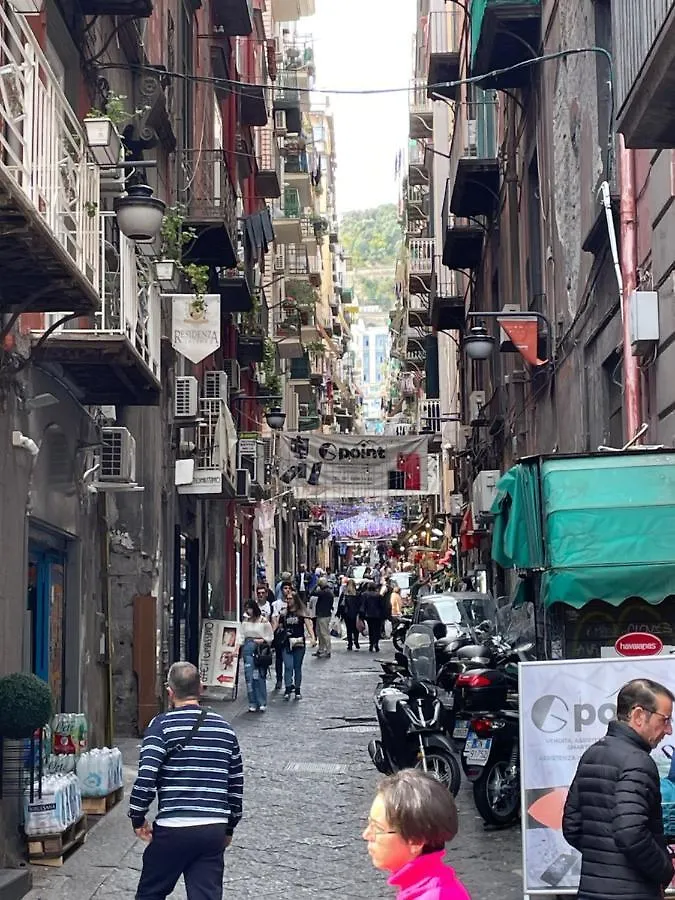 O'Vascetiello Apartment Naples Italy